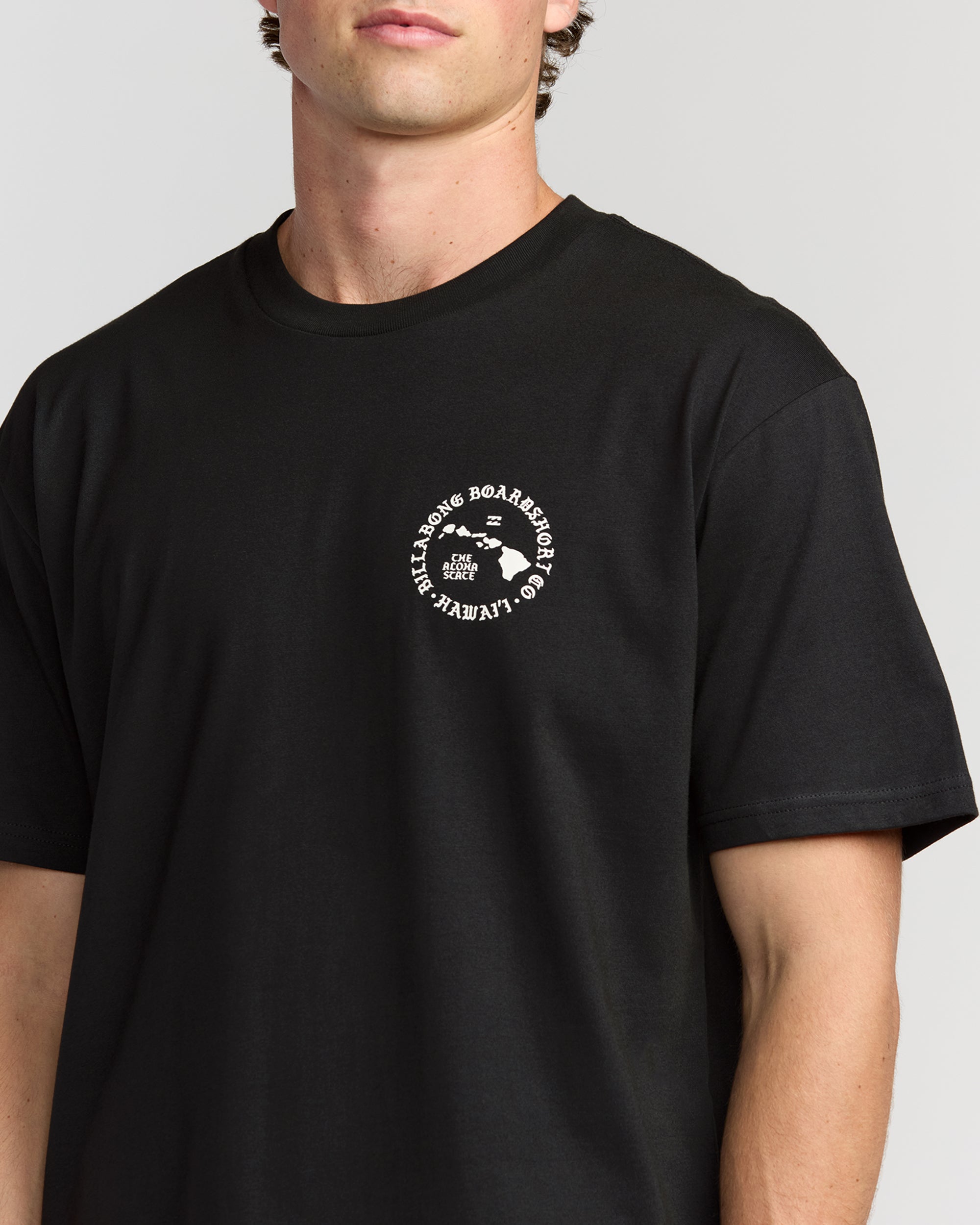 Aloha Island Hi Regular Short Sleeve T-Shirt - Washed Black